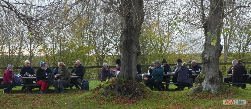 A chilly picnic
