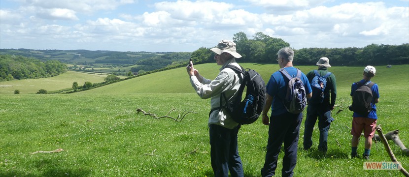 Chiltern View
