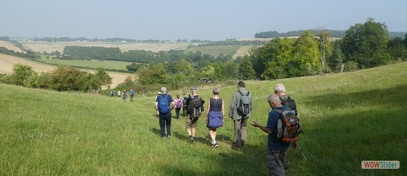Good walking weather