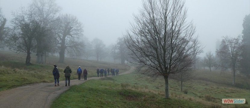 Misty Day Hamstead Park