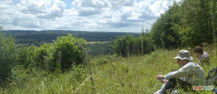 North Downs Way 