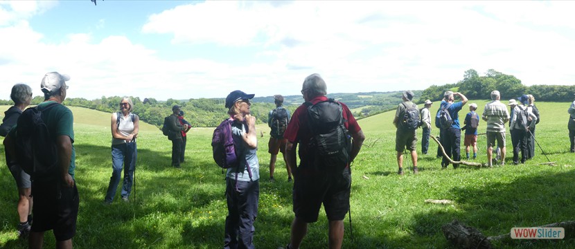 Pausing to admire the view