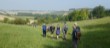 Good walking weather