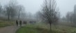 Misty Day Hamstead Park