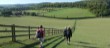 Near Fingest