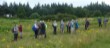 The motley crew in Crowsley Park